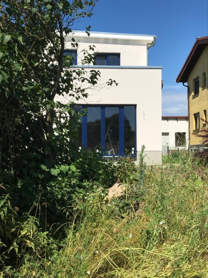 Hof Uhleck Am Koenigsstuhl Apartamento Lohme Exterior foto
